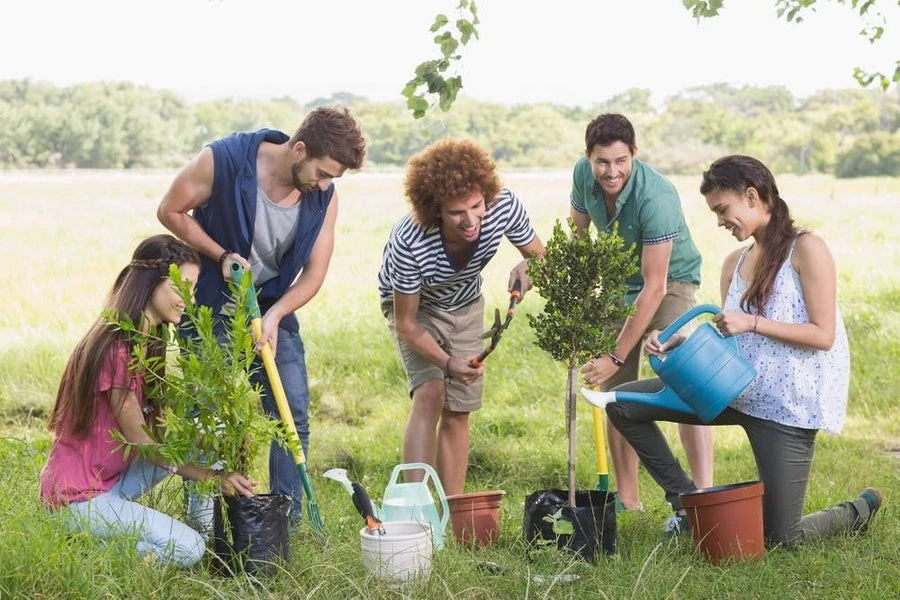 Where to Plant Trees