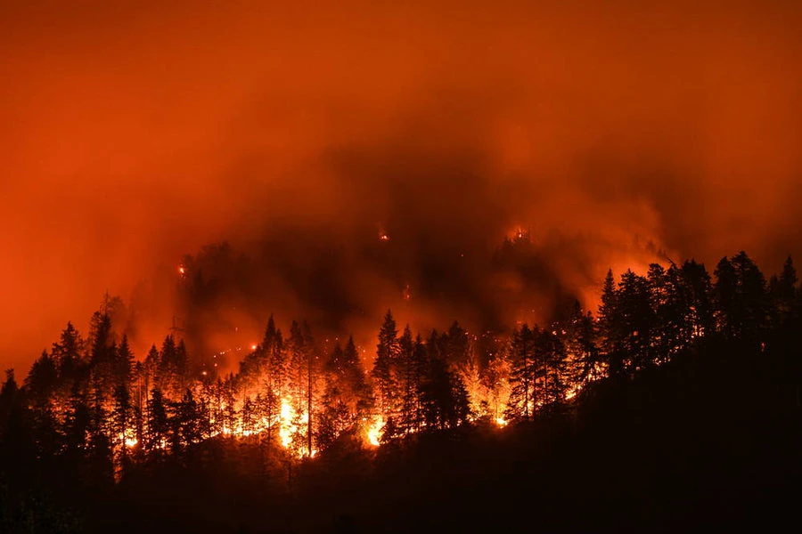 The Cause of Wildfires