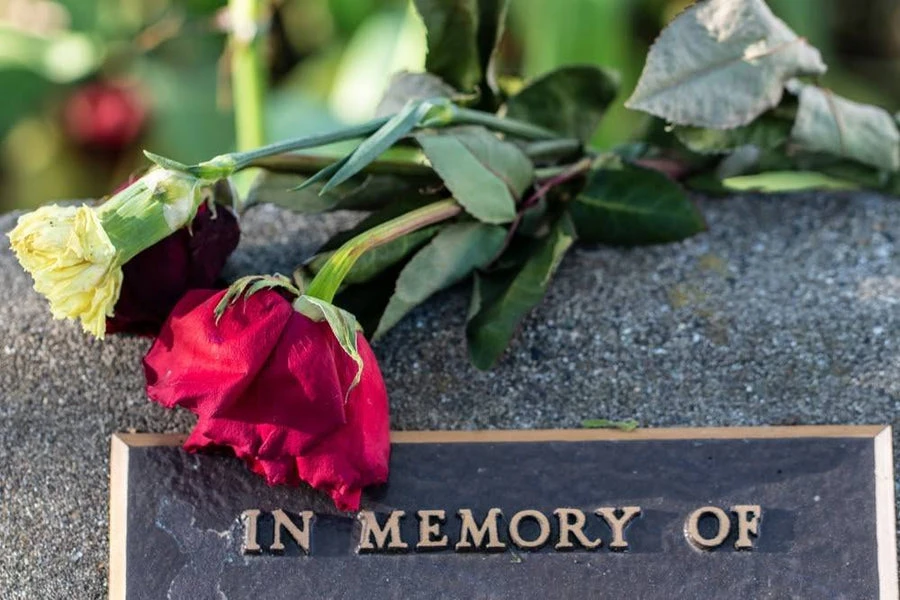 In Memory Of: Plant A Tree