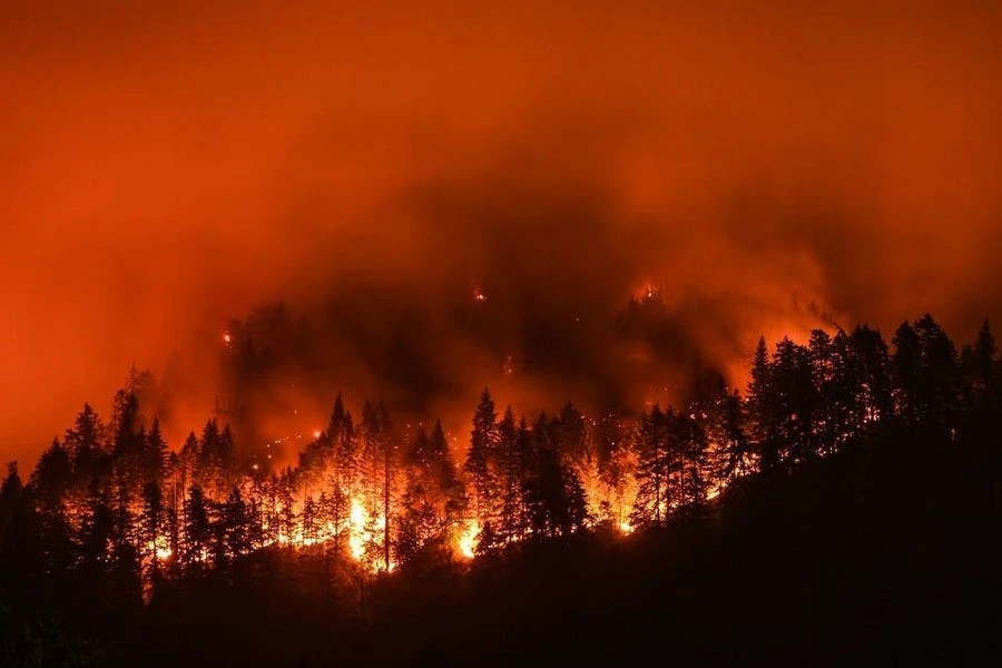 The Causes of Wildfires